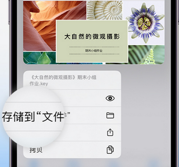 崇州apple维修中心分享iPhone文件应用中存储和找到下载文件