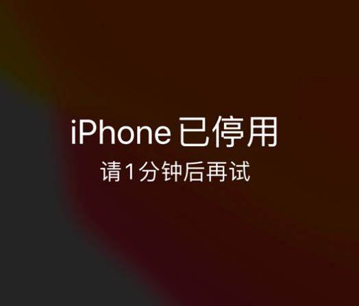 崇州苹果手机维修分享:iPhone 显示“不可用”或“已停用”怎么办？还能保留数据吗？ 