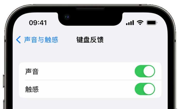 崇州苹果手机维修分享iPhone 14触感键盘使用方法 