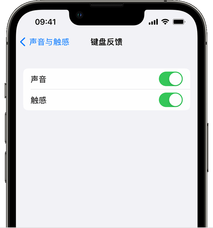 崇州苹果14维修店分享如何在 iPhone 14 机型中使用触感键盘 