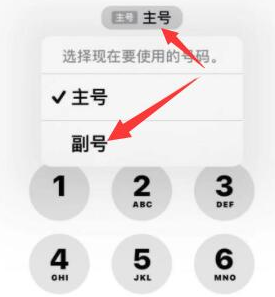 崇州苹果14维修店分享iPhone 14 Pro Max使用副卡打电话的方法 