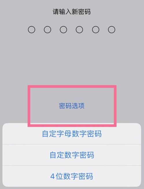 崇州苹果14维修分享iPhone 14plus设置密码的方法 