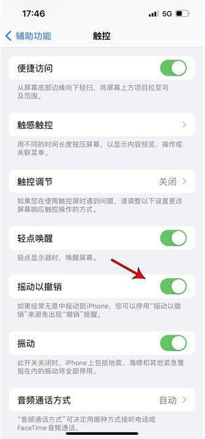 崇州苹果手机维修分享iPhone手机如何设置摇一摇删除文字 